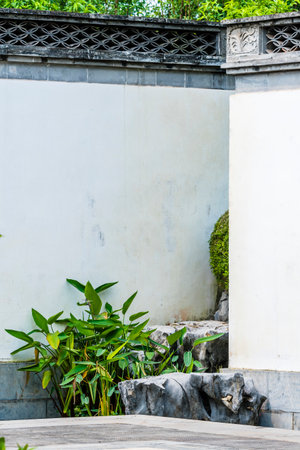 White concrete wall and green plants in the garden,Thailand.の写真素材