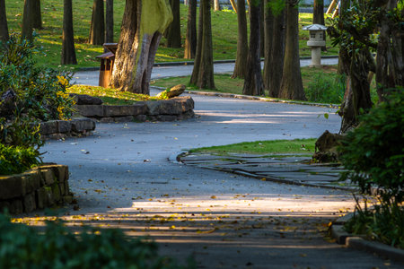 path in the park with trees and grass in the evening light.の写真素材