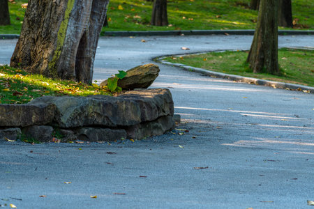 stone walkway in the park with green grass and fallen leaves.の写真素材