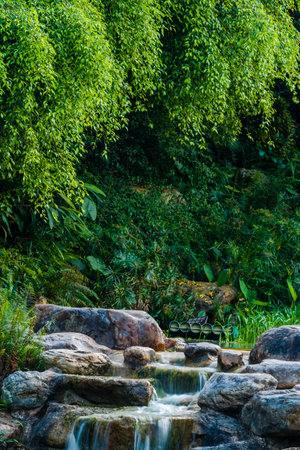 Waterfall in the park, Thailand. (Nature background).の写真素材