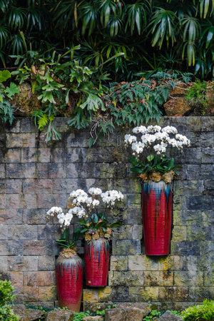 White orchids in red vases in front of stone wallの写真素材