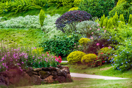 Beautiful landscaped garden in summer with flowerbeds and pathの写真素材