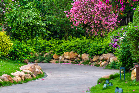 Garden path with pink flowers in the botanical garden of Singaporeの写真素材