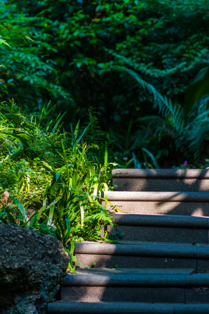 Concrete stairs in the park, Thailand. (Selective focus)の写真素材