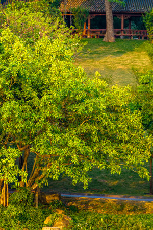 Landscape view of Huai Nam Dang national park, Thailand.の写真素材