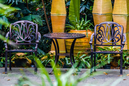 Table and chair in the garden, Thailand. (Selective focus)の写真素材
