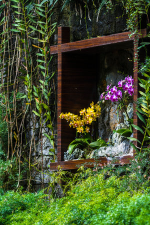 Wooden window with orchids in tropical forest, Thailand.の写真素材