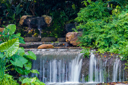 Waterfall in the park, Thailand. (Selective focus)の写真素材