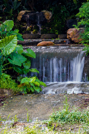 Waterfall in the garden, Chiangmai, Thailand.の写真素材