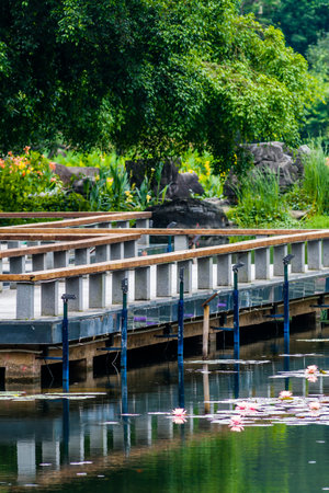 Wooden bridge over the river in the park,Thailand.の写真素材