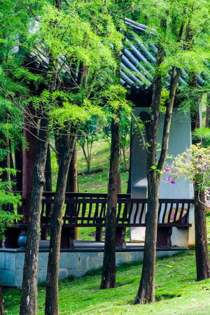 Park in Cherntawan International Meditation Center, Phayao province.の写真素材