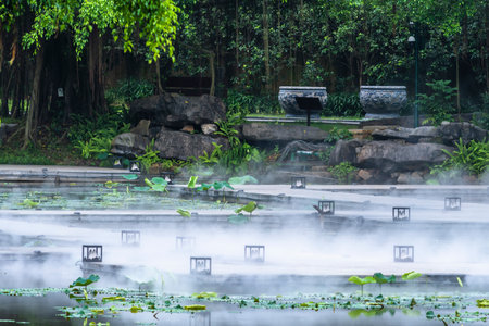 Foggy pond in a public park in Bangkok, Thailand.の写真素材