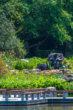 Landscape of beautiful garden at Doi Inthanon National Park, Thailand.の写真素材