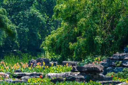 Landscape view of Huai Nam Dang national park, Thailand.の写真素材