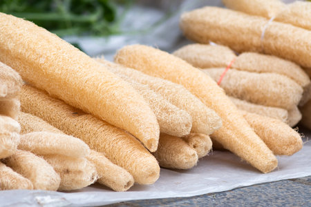 Close up of a pile of loofah for sale at a marketの写真素材