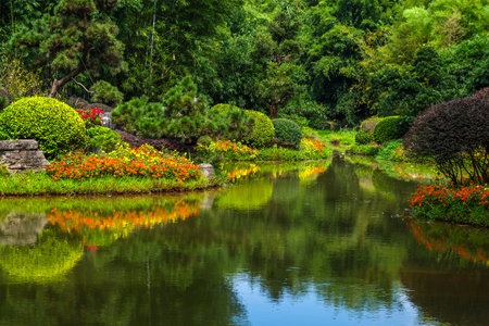 Beautiful flower garden with pond in the public park, Thailand.の写真素材