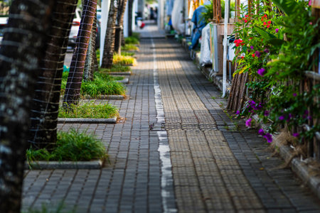 Cobbled walkway in the park with flowerbeds.の写真素材