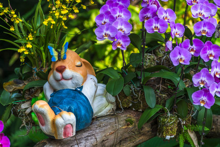 Cute cat and orchid flower decoration in garden, stock photoの写真素材