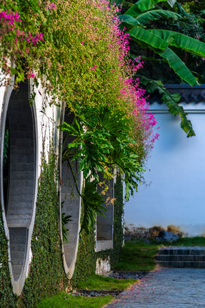 Beautiful view of the garden with colorful flowers and plants, Thailand.の写真素材