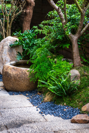 Stone walkway in the garden with rock and plant decorationの写真素材