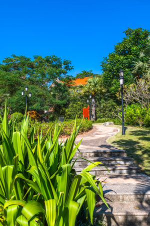Walkway in the garden with green grass and blue skyの写真素材