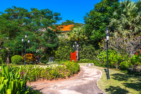 Walkway in the park with green trees and bushes aroundの写真素材