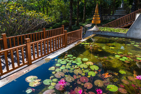 Beautiful pond with lotus flower in Thai temple, Thailand.の写真素材