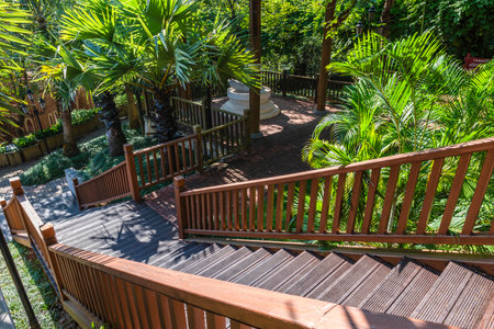 Wooden walkway in the garden with green plants and trees.の写真素材