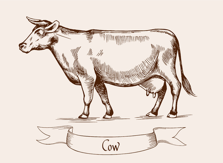 Illustration in Vintage engraving style. Can be used as grunge label or sticker image.のイラスト素材