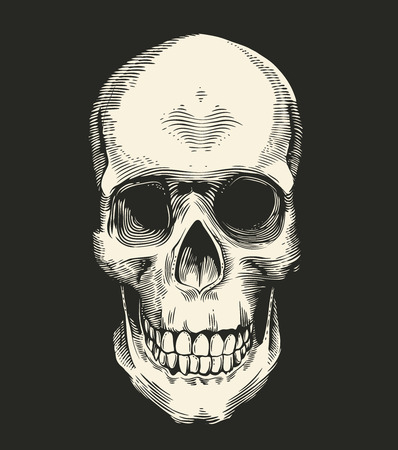 Human skull drawn in retro etching style isolated on black background, front view. Concept of horror and evil. Monochrome vector illustration for postcard, logotype, banner, tattoo, T-shirt print.のイラスト素材