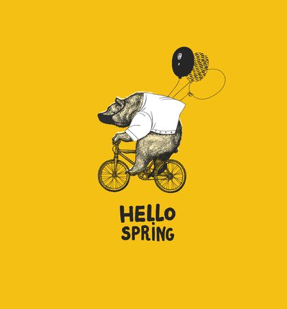 Bear with Balloons Rides Bicycle T-shirt Print. Vintage Mascot Cute Fun Grizzly Cycle Bike. Abstract Background. Blackwork Postar Animal Character Black Sketch. Outline Grunge Teddy Vector Illustrationの写真素材