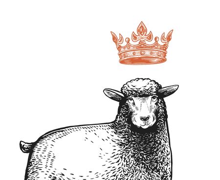Vector Stylized Close up Illustration of the Queen Sheep with a crown over the head and funny surprised facial expression. Cartoon illustration of the Queen Sheep in graphic style on a white background.のイラスト素材