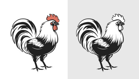 Rooster graphic design logo. Grunge label, sticker for the farms and manufacturing depicting roster. Grunge label for the chicken product. Farm painting. Cockerel. Vector illustrationのイラスト素材