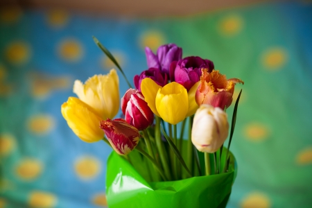 bouquet of colorful tulipの写真素材