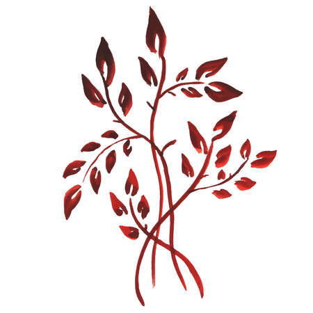 Hand drawn branches and leaves. Gouacheのイラスト素材