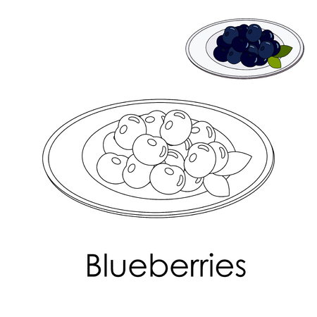 Coloring book Forest Blueberries on a plate. Color page whith sample berries with leaves. Monochrome illustration Poster print for activity kid. Education card. Vector silhouette wild berry. Simple learning gameのイラスト素材