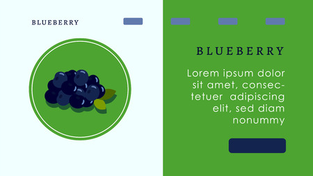 Fruits and Berries in Hands for Cooking and Decorating Festive Cake or Dessert. Confectionery Website Landing Page, Web Page. Cartoon Flat Vector Illustration, Banner. Juicy fresh blueberries with green leaves on a round green backgroundのイラスト素材