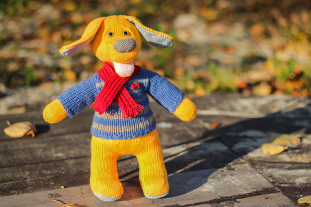 Yellow knitted toy dogの写真素材