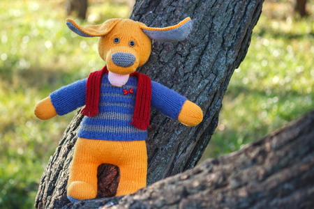 Yellow knitted toy dogの写真素材