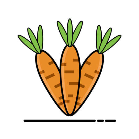 Doodle illustration carrot vector graphicsのイラスト素材