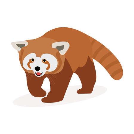 Red panda vector graphicsのイラスト素材