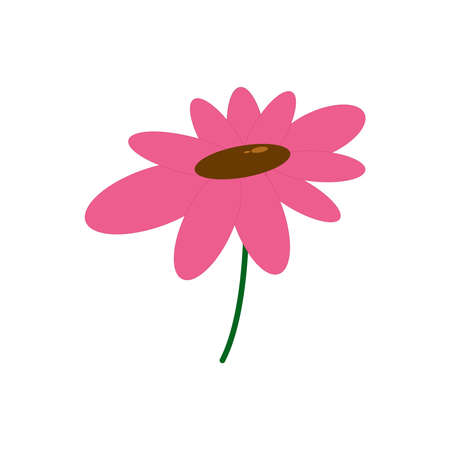 Pink flower isolated vector graphicsのイラスト素材