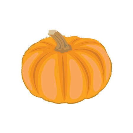 Isolated pumpkin cartoon vector graphicsのイラスト素材