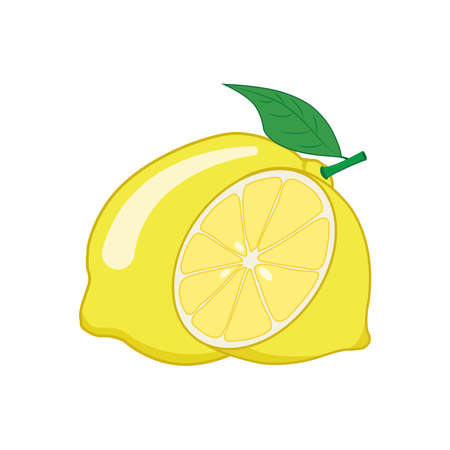Lemon and half lemon cartoon vector graphicsのイラスト素材