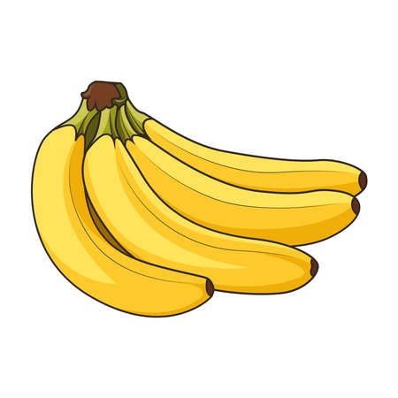 One bunch bananas cartoon vector graphicsのイラスト素材