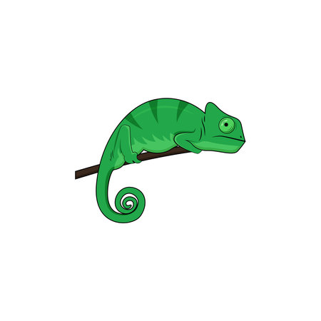 Realistic chameleon vector art and graphicsのイラスト素材