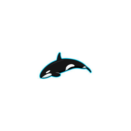 Orca whale isolated vector graphics