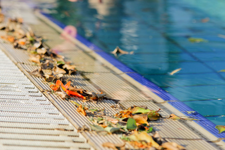 swimming pool board strewn with autumn leavesのeditorial素材