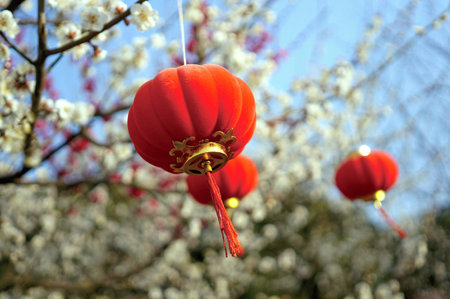 lanternの写真素材