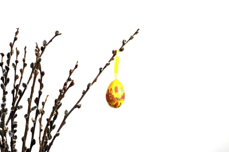 colorful egg on a willow branchの写真素材